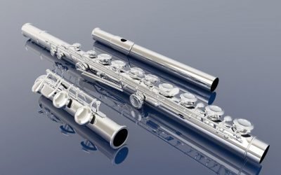 Flauta traversa