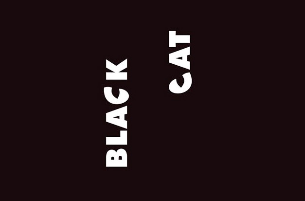 logo black cat