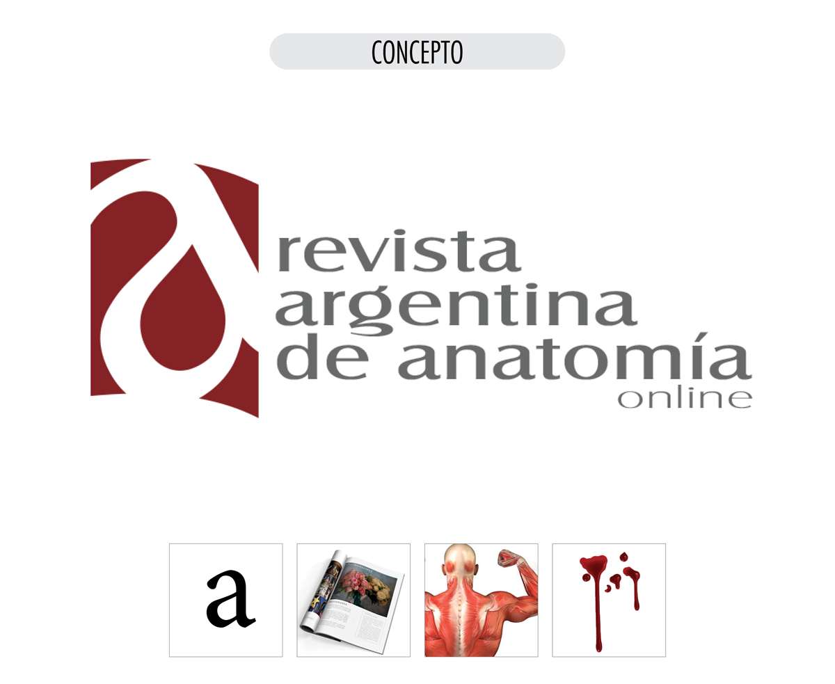 Revista Argentina de Anatomia Online logo concepto