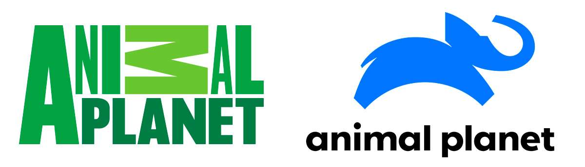 animal planet rebranding