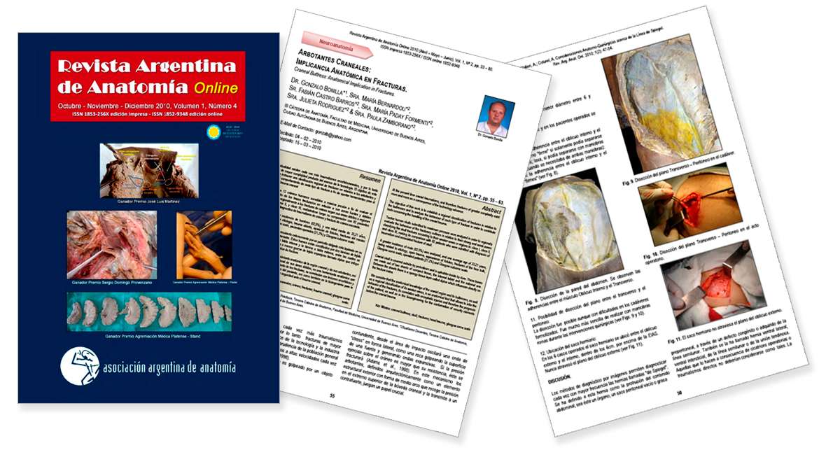 revista anatomia anterior