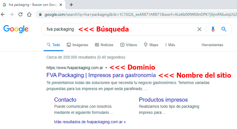 busqueda google